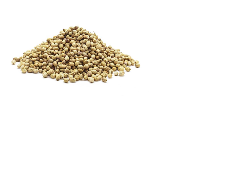 Coriander Whole 50g