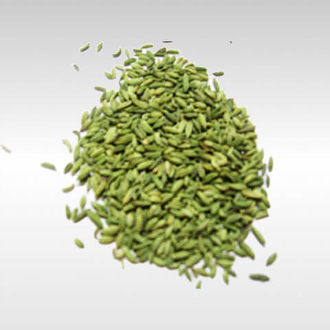 Sounf Lucknowi Maheen 100g