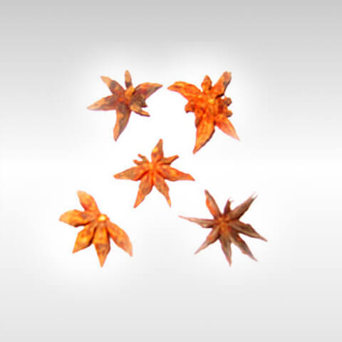 Star Anise Whole 25g