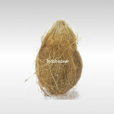 Coconut Fresh whole Indian