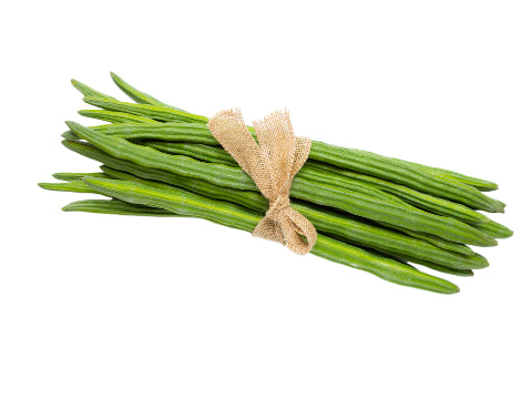 Drumstick Fresh 1stick India