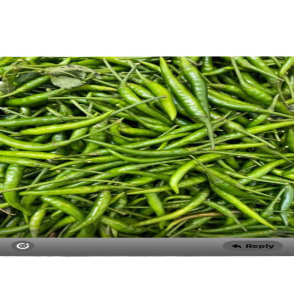 Fresh Green Chilli 150g