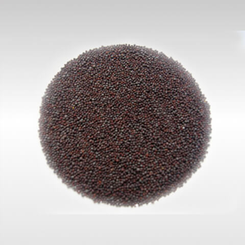 Mustard Seed 100g