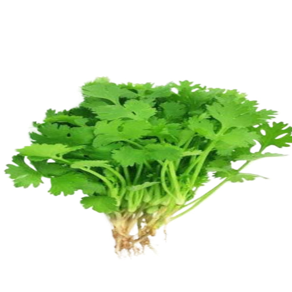 Fresh Coriander Leaf 1pkt
