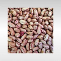 Rajma Chitra Beans