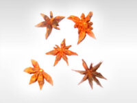 Star Anise Whole 30g