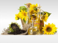 Sun Flower Oil ひまわり油 1Ltr